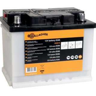Batéria pre elektrické oplotenie, 12 V, 65 Ah, nenaplnená Gallagher