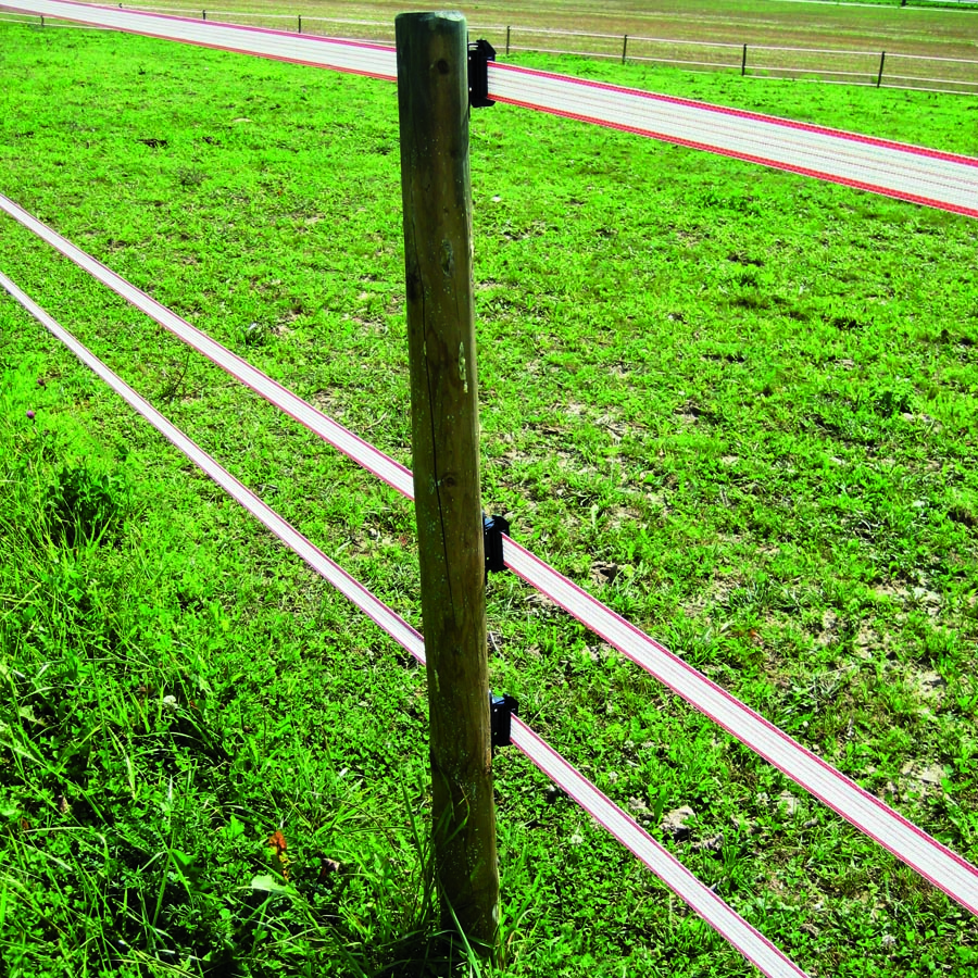 Páska vodivá, TurboLine, L 200 m, B 40 mm, biela-oranžová Gallagher