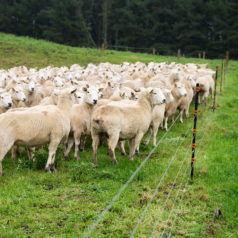Stĺpik Line Post, sklolaminát, 10 ks, čierny, L 205 cm, 10 Kus Gallagher 